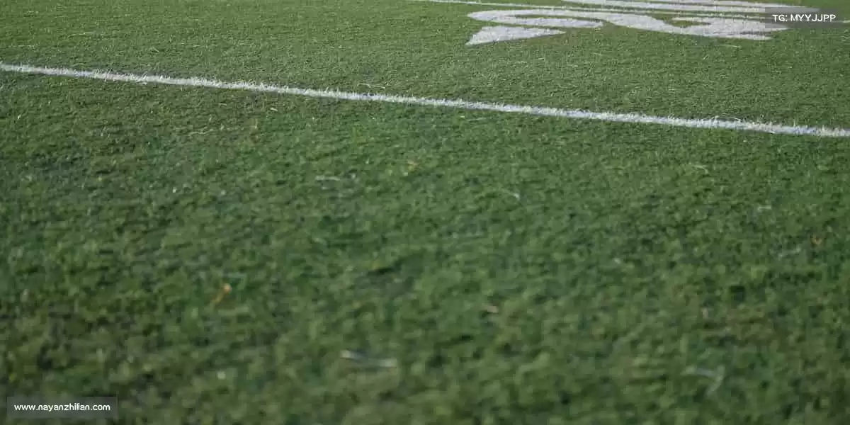 行业领先的理由